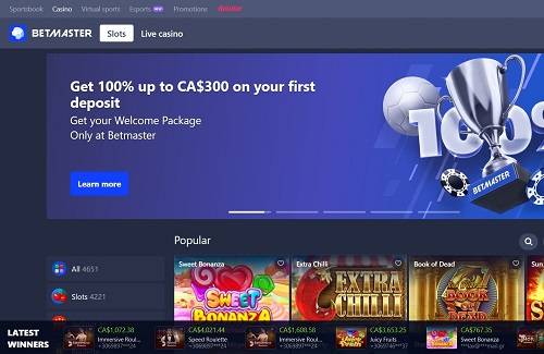 Betmaster Rogue casino