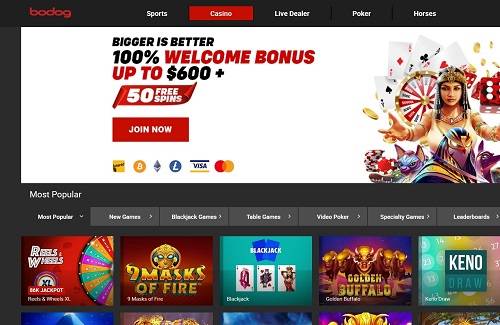 Bodog Rogue casino