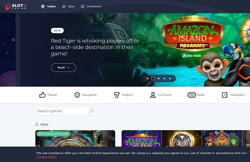 SlotV Rogue casino
