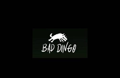 BadDingo Software Provider Logo