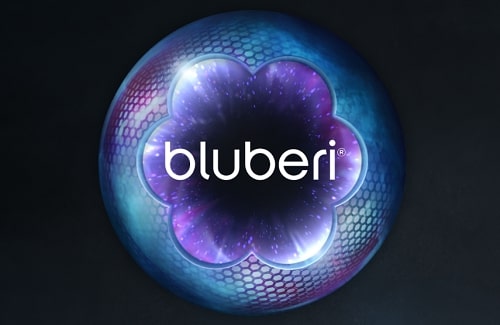 Bluberi Software Provider Logo