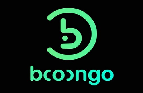 Booongo Software Provider Logo