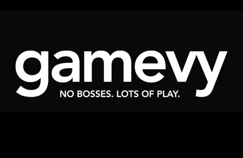 Gamevy Software Provider Logo