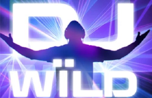 DJ Wild Online Slot Logo