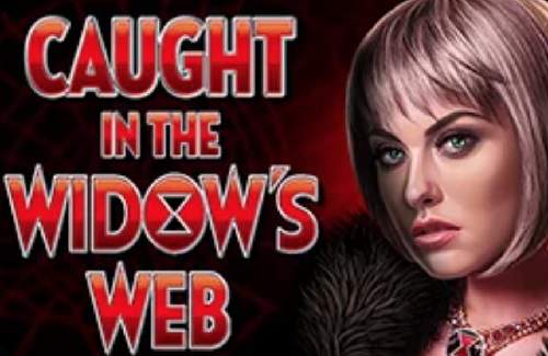 Caught in the Widow's Web Online Slot Logo