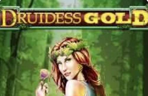 Druidess Gold Online Slot Logo