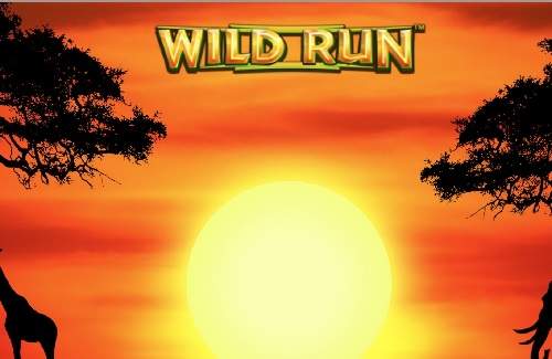 Wild Run Online Slot Logo