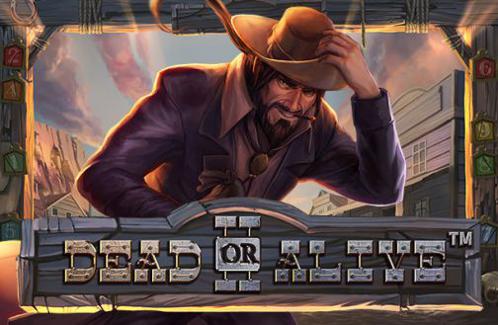 Dead or Alive 2 Online Slot Logo