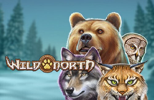 Wild North Online Slot Logo