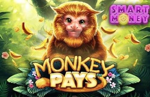 Monkey Pays Online Slot Logo