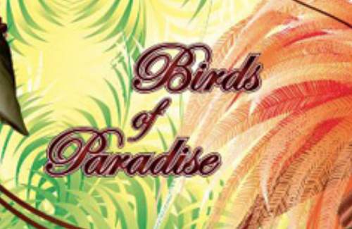 Birds of Paradise Online Slot Logo