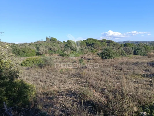 Terreno para Venda em Paderne