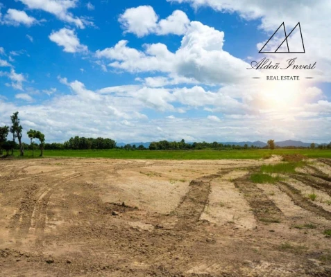 Terreno Comércio / Armazém para Venda em Baltar