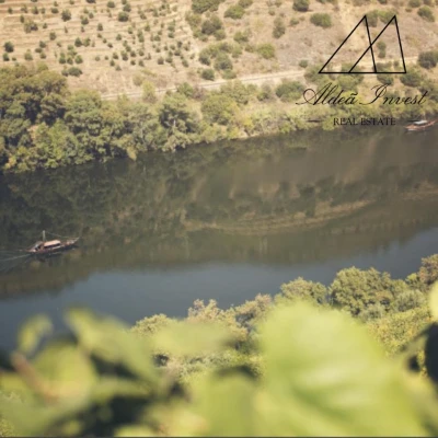 Quinta T5 para Venda em Ervedosa do Douro