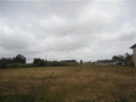Terreno Agricola ou Rústico para Venda em São Bernardo