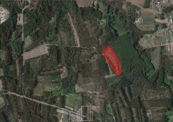 Terreno Agricola ou Rústico para Venda em Avanca