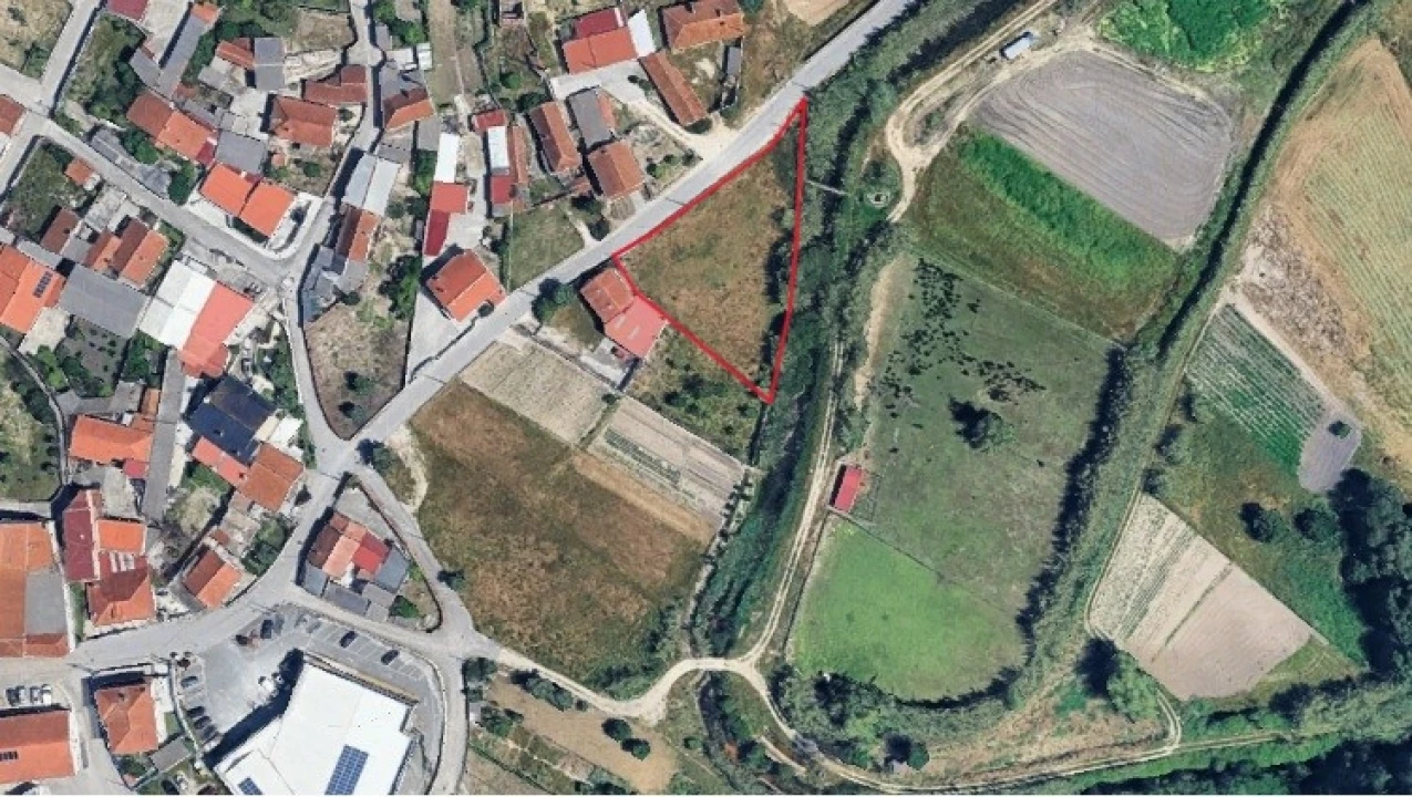 Terreno para Venda em Amor