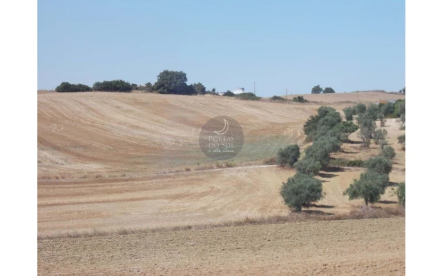 Terreno para Venda em Romeira e Várzea