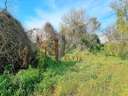Terreno P/ Moradia para Venda em Glória do Ribatejo e Granho