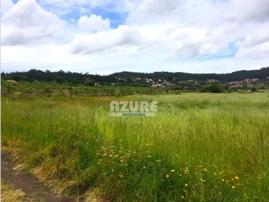 Terreno P/ Moradia para Venda em Palmeira de Faro e Curvos