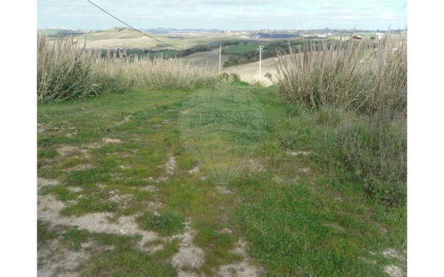 Terreno para Venda em Ribafria e Pereiro de Palhacana