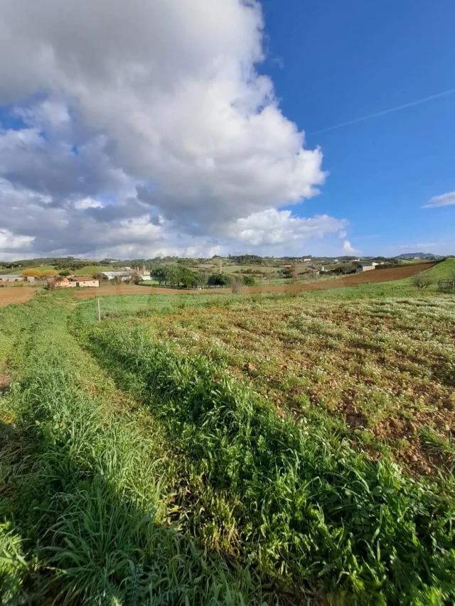 Terreno para Venda em Ventosa