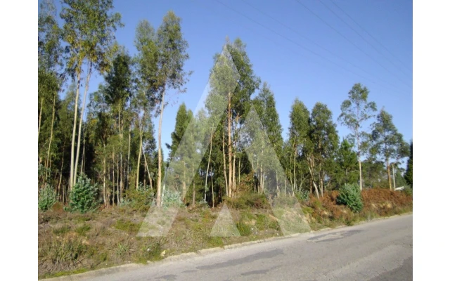 Terreno para Venda em Travassô e Óis da Ribeira