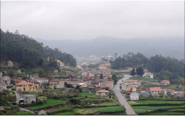 Terreno para Venda em São Pedro de Castelões