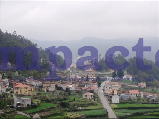 Terreno para Venda em São Pedro de Castelões