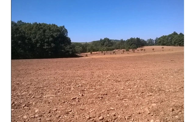 Terreno para Venda em Vilar de Ossos