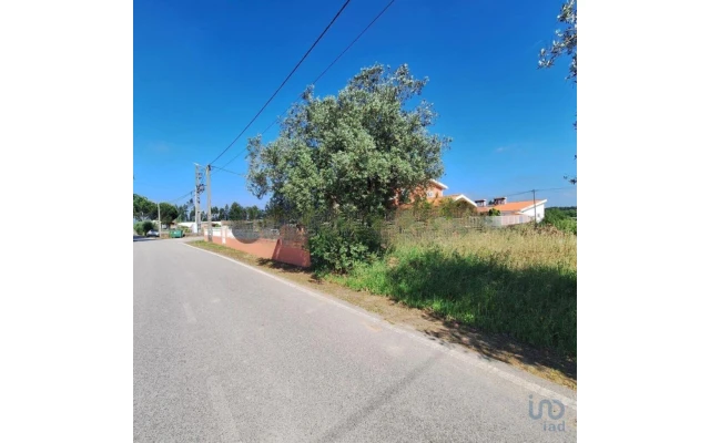 Terreno para Venda em São Lourenço do Bairro