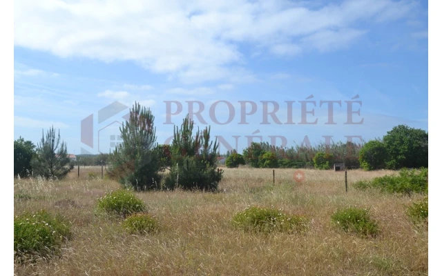 Terreno P/ Prédio para Venda em Loule (São Clemente)