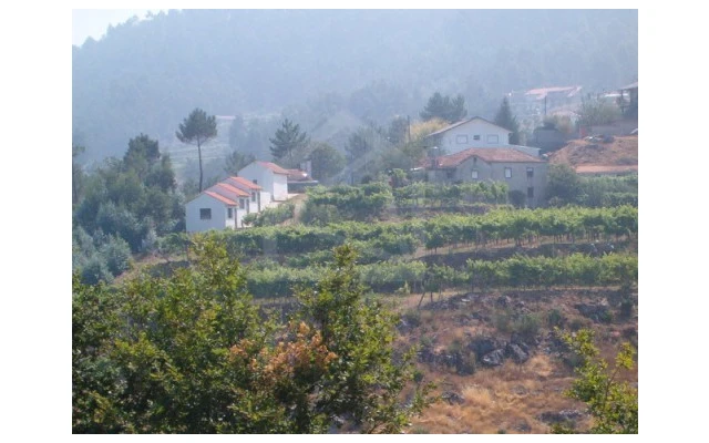 Quinta para Venda em Cepelos