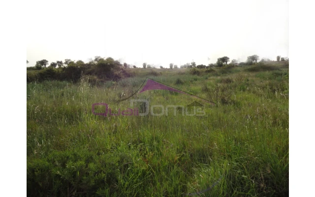 Terreno para Venda em Montalvo