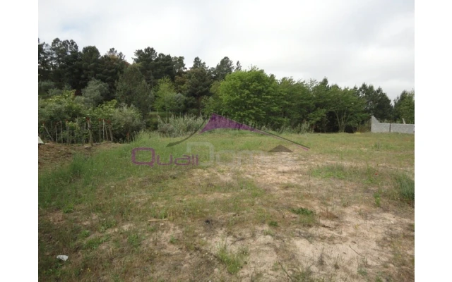 Terreno para Venda em Chamusca e Pinheiro Grande