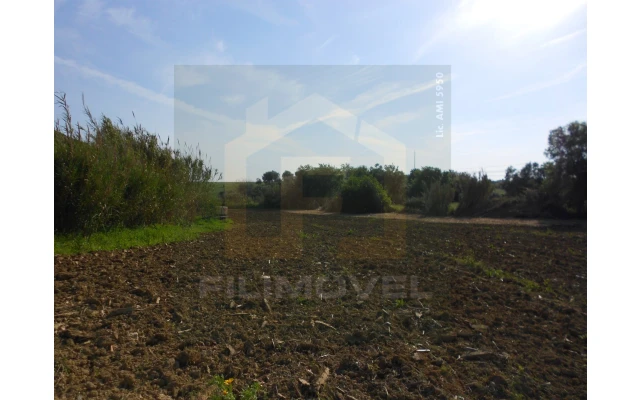 Terreno para Venda em Alpiarça