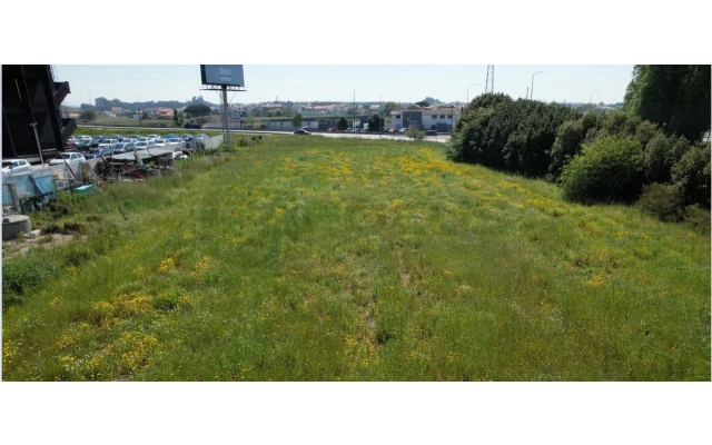 Terreno para Venda em Esgueira