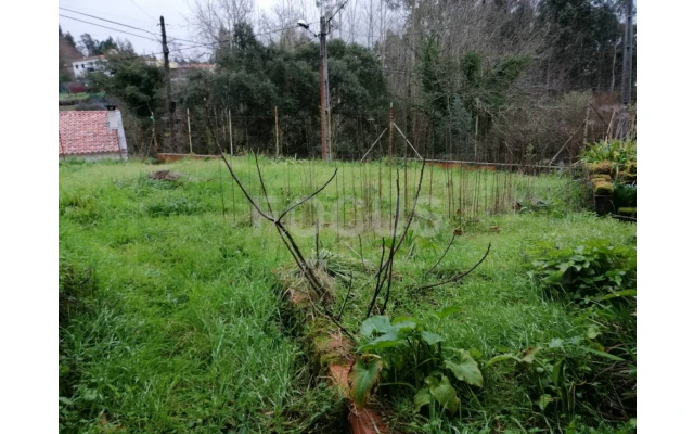 Terreno para Venda em Travassô e Óis da Ribeira