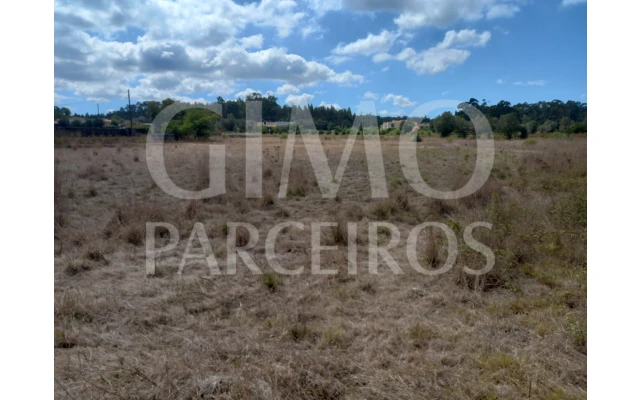 Terreno para Venda em Belazaima do Chão, Castanheira do Vouga e Agadão