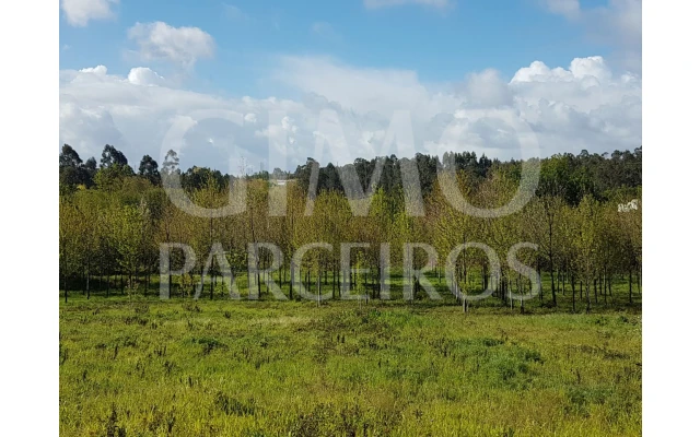 Terreno para Venda em Valongo do Vouga