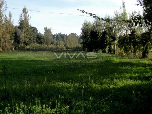 Terreno Agricola ou Rústico para Venda em Carreiras (São Miguel) e Carreiras (Santiago)