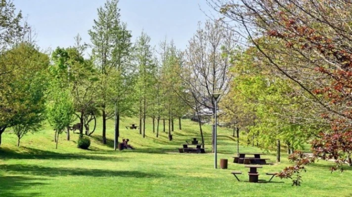 Terreno para Venda em Penafiel