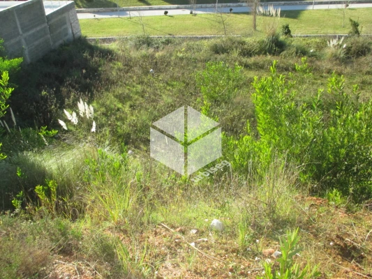 Terreno para Venda em Tavarede