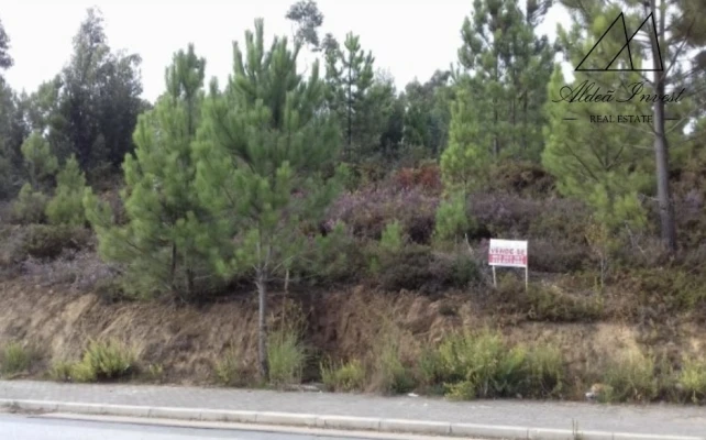 Terreno Comércio / Armazém para Venda em Baltar