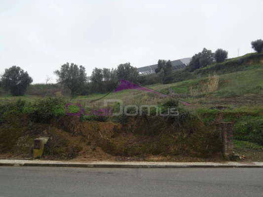 Terreno para Venda em Torres Novas (Santa Maria, Salvador e Santiago)