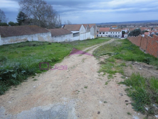 Terreno para Venda em Chamusca e Pinheiro Grande