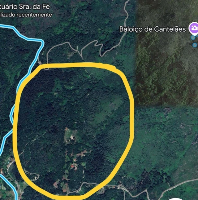 Terreno para Venda em Cantelães