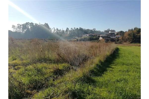 Terreno para Venda em Baltar