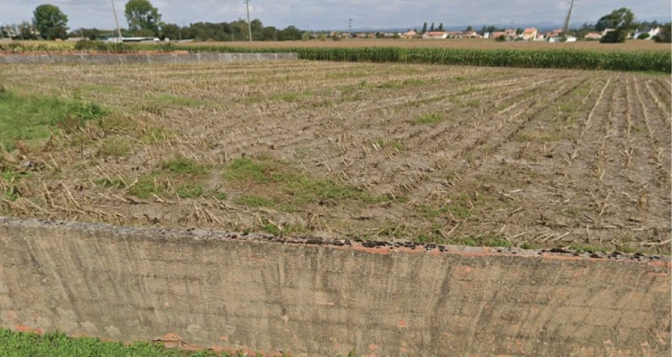 Terreno para Venda em Pardilho