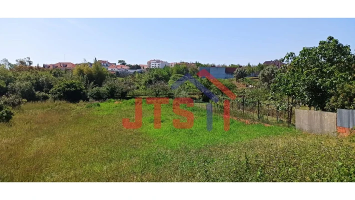 Terreno para Venda em Oliveira do Bairro